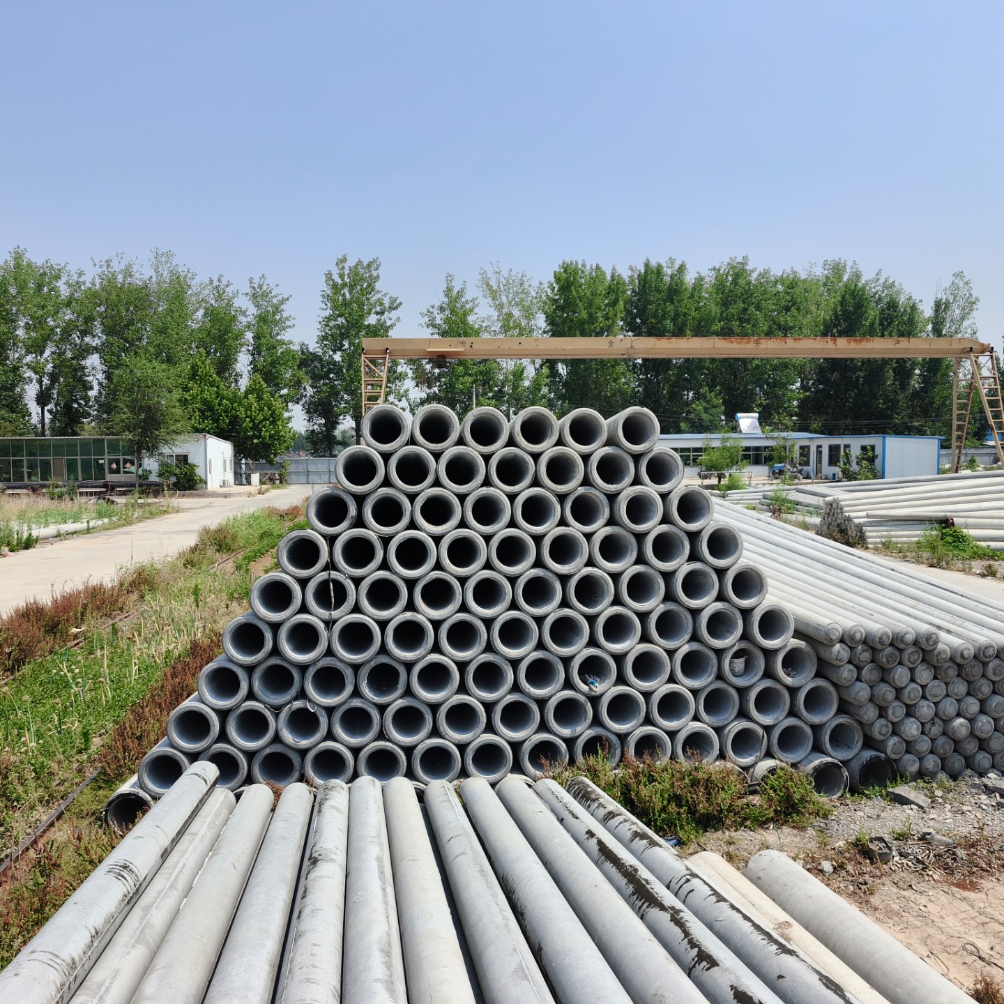 甘南190×10米水泥电线杆